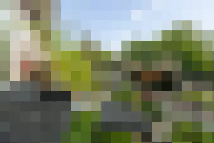 Laaressingel 41 Enschede thumbnail 4