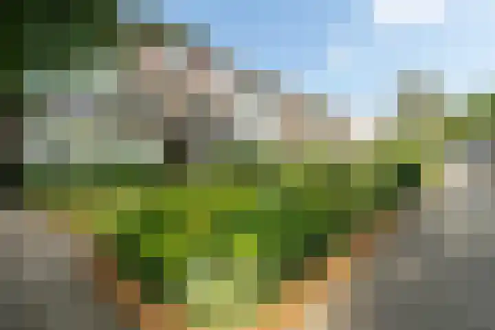 Laaressingel 41 Enschede thumbnail 6