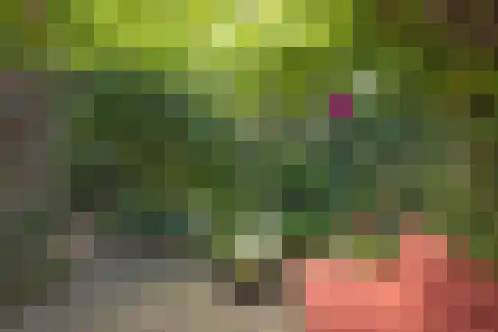 Laaressingel 58 A Enschede thumbnail 36