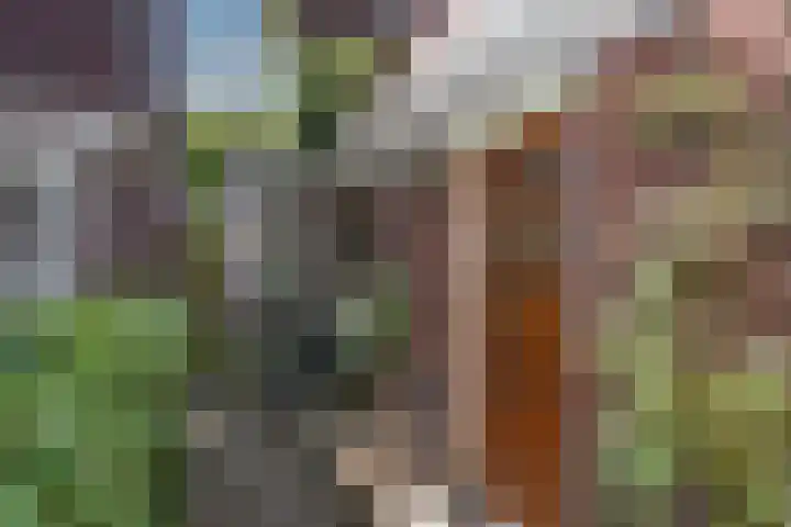 Laaressingel 58 A Enschede thumbnail 5