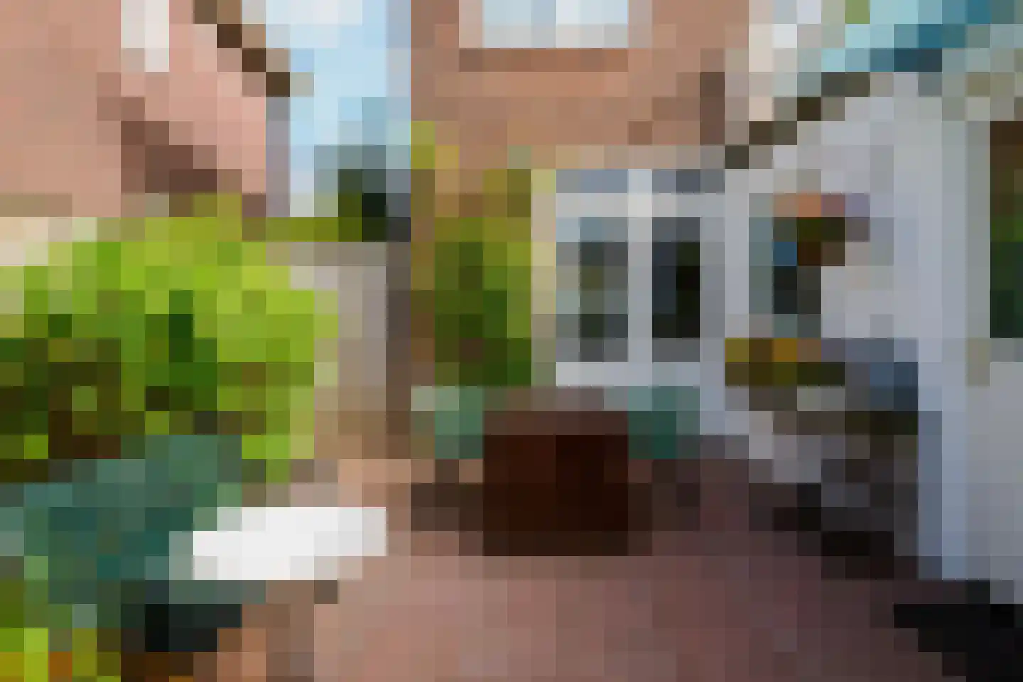 Laaressingel 70 Enschede thumbnail 25