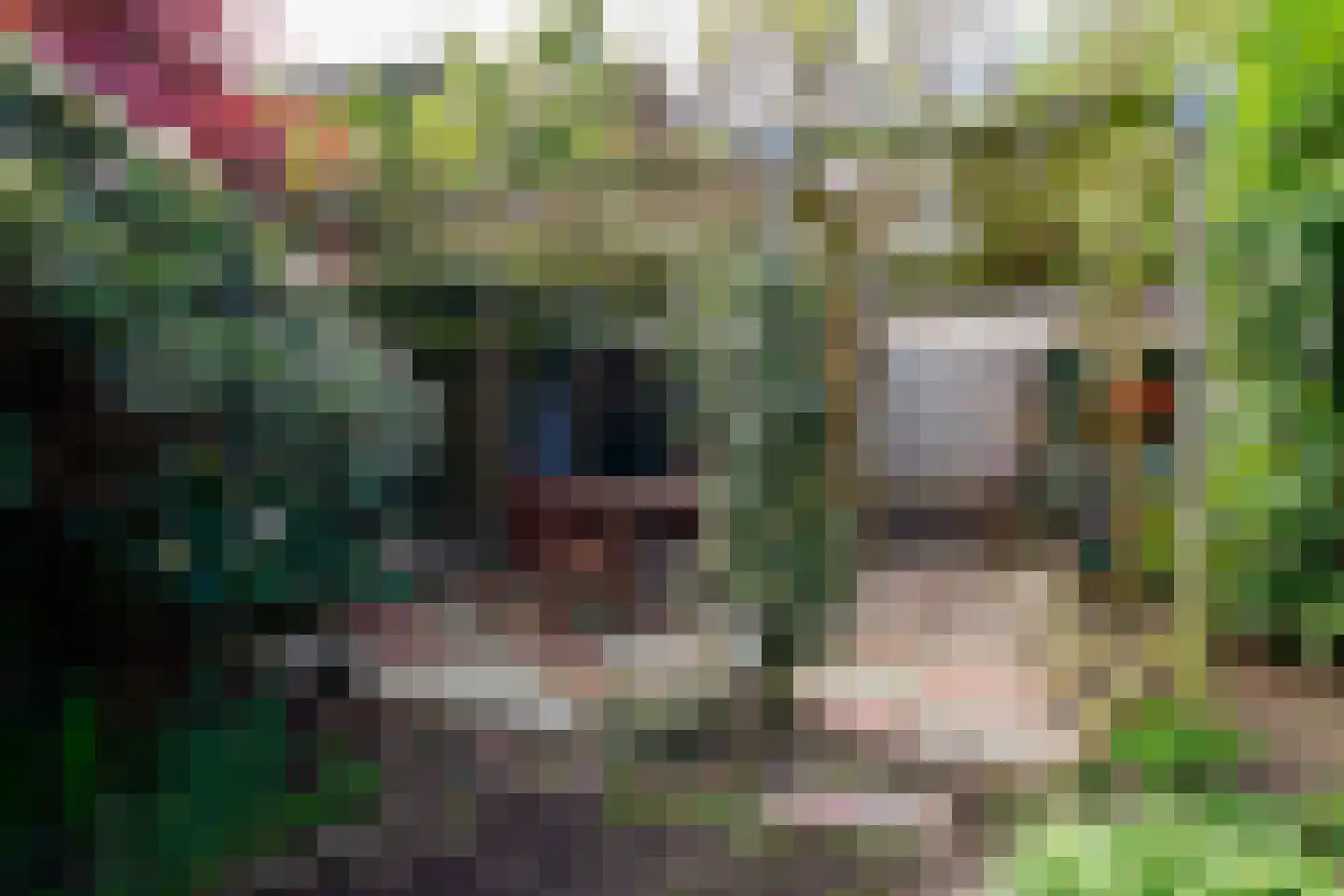 Laaressingel 70 Enschede thumbnail 30