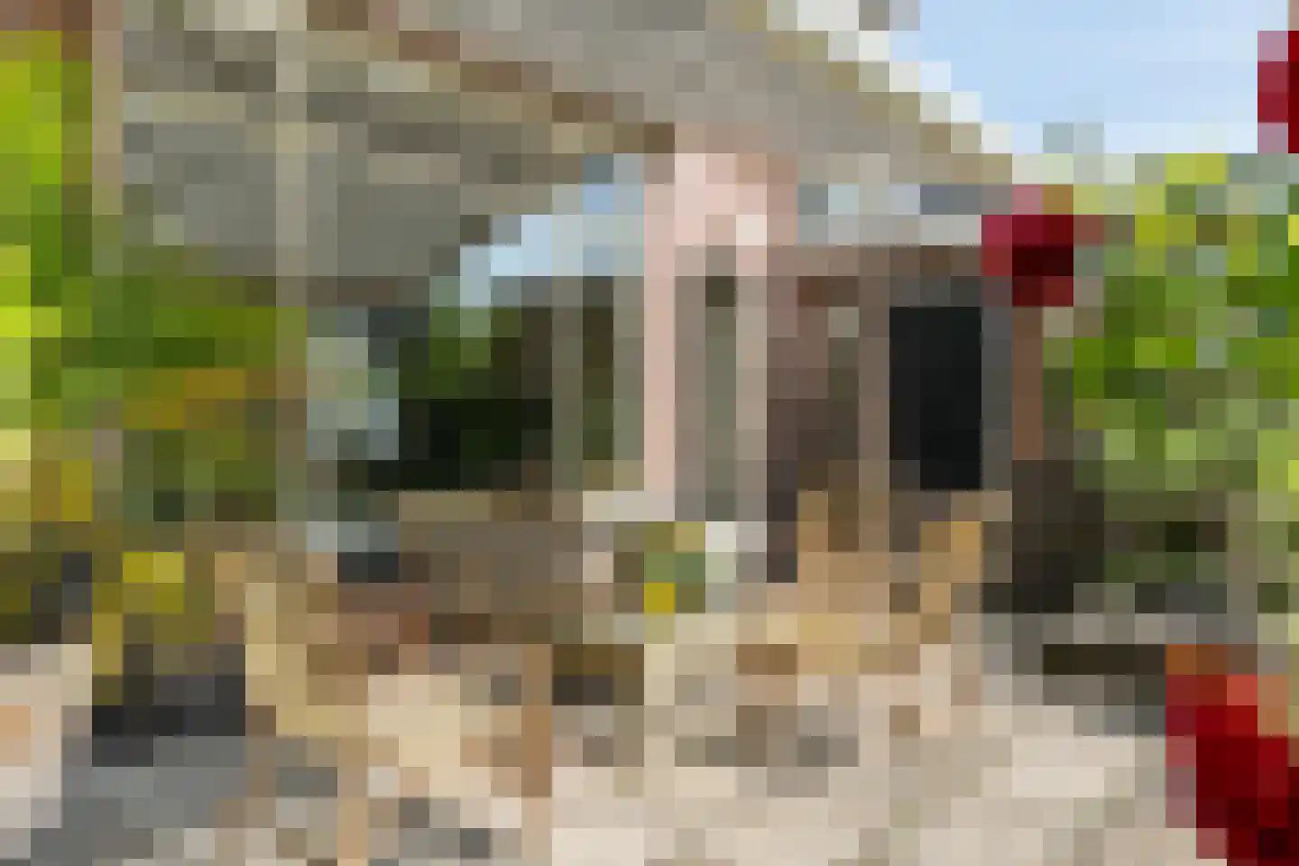 Laaressingel 8 Enschede thumbnail 29