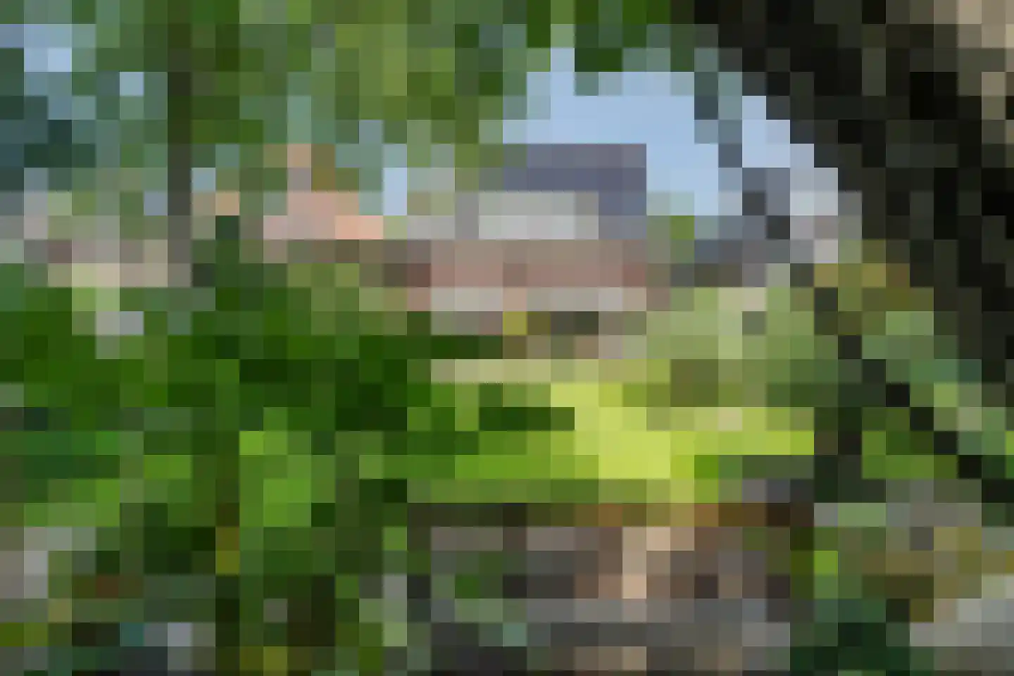 Laaressingel 8 Enschede thumbnail 33