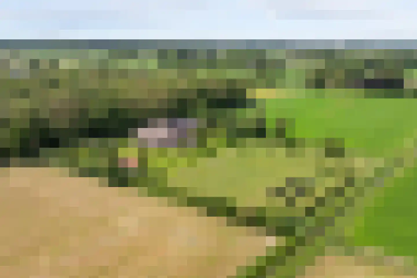 Laarhoeksweg 7 en Broekland