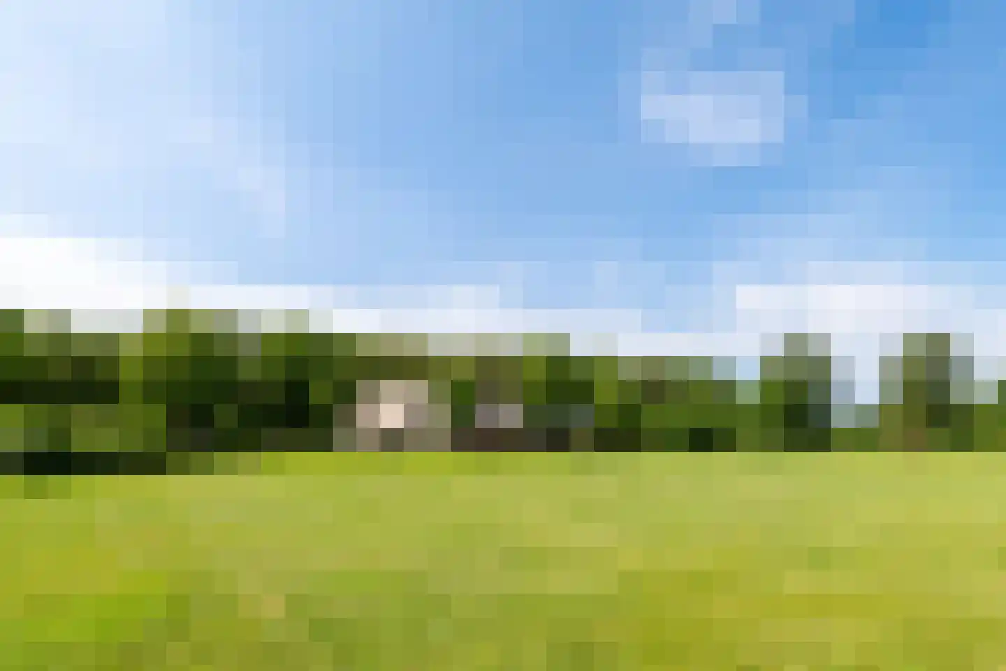 Laarhoeksweg 7 Broekland thumbnail 11