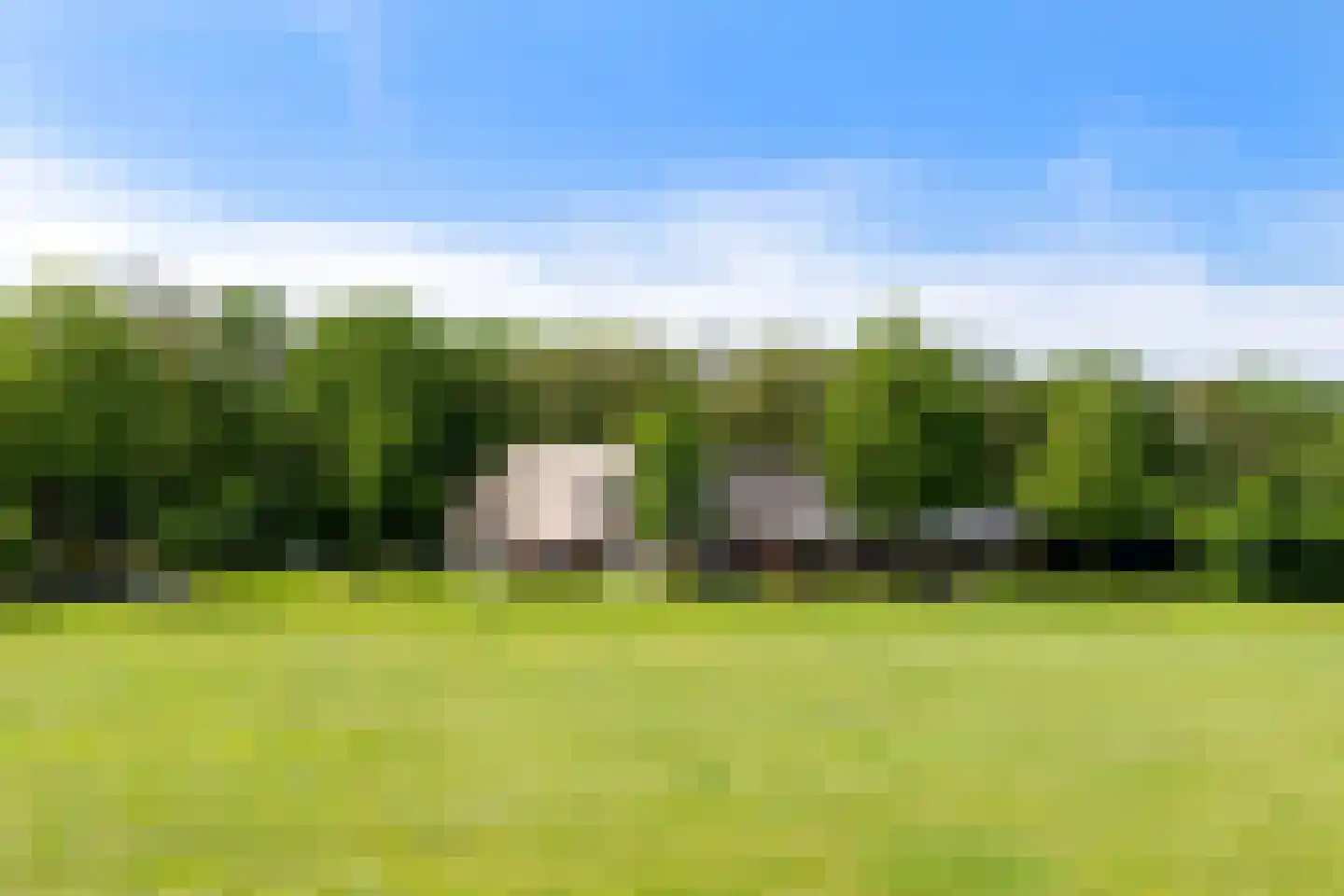 Laarhoeksweg 7 Broekland thumbnail 12