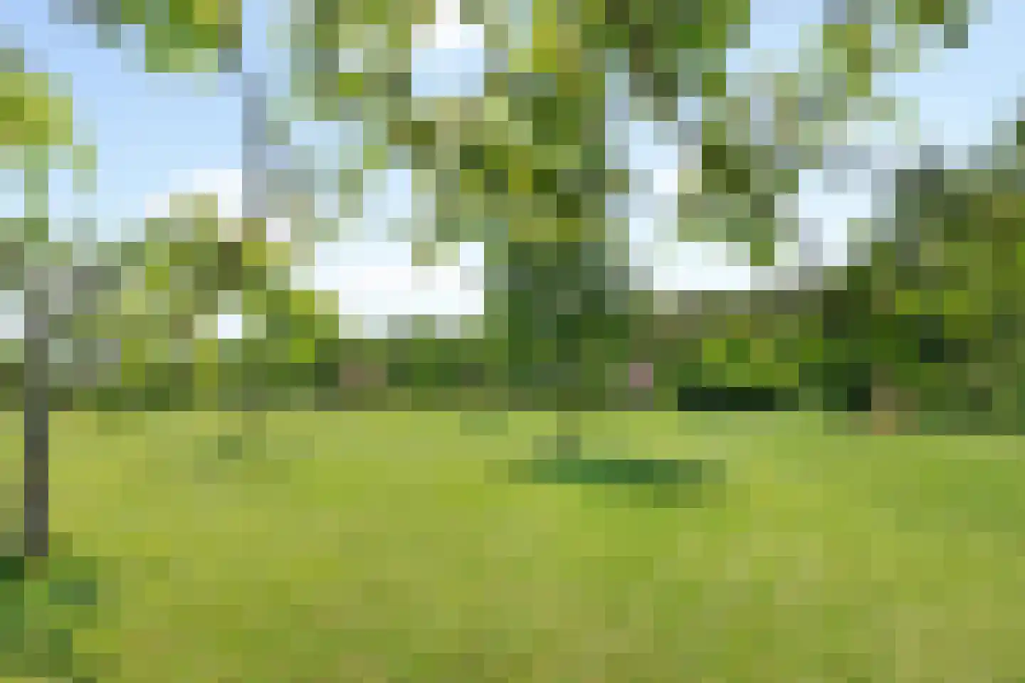 Laarhoeksweg 7 Broekland thumbnail 13