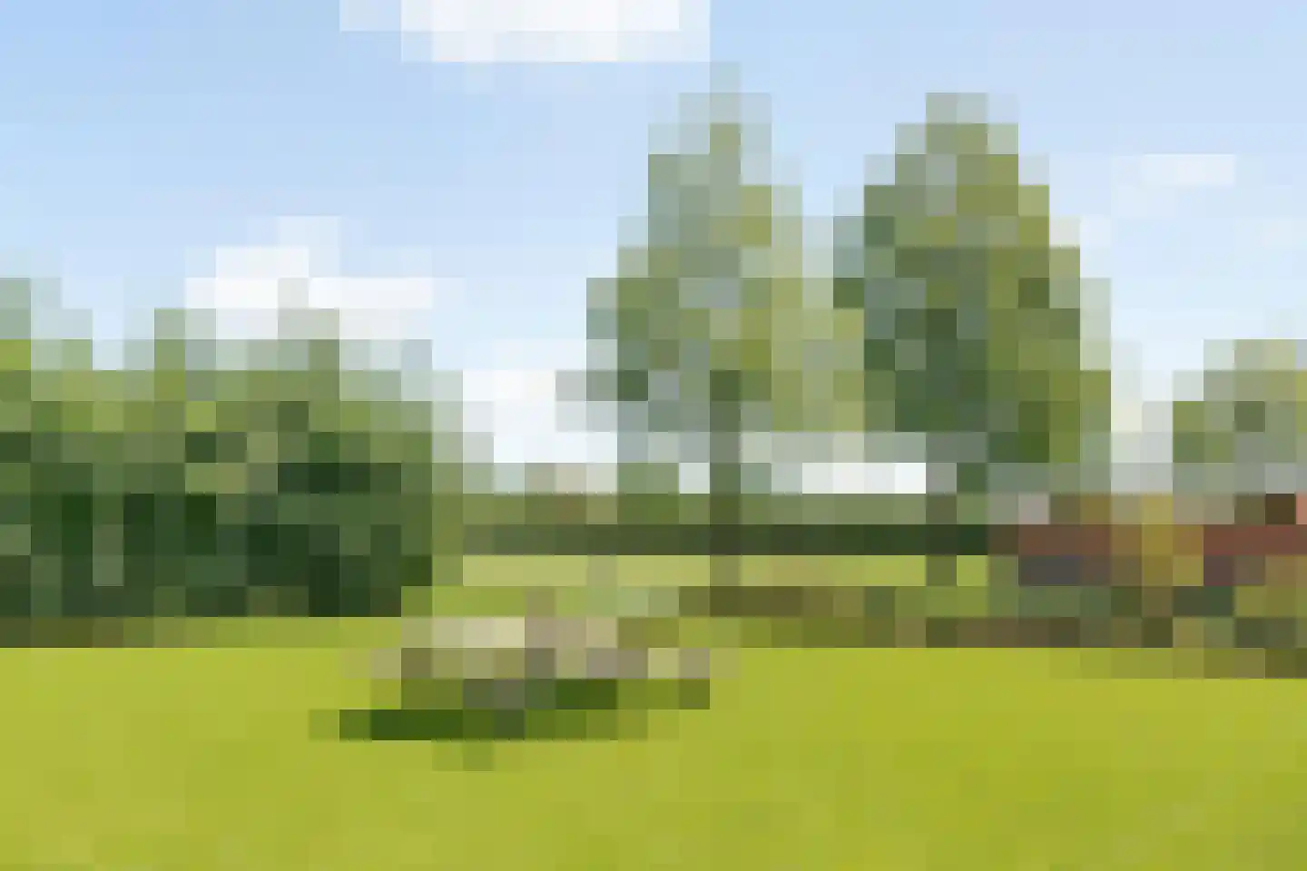 Laarhoeksweg 7 Broekland thumbnail 14