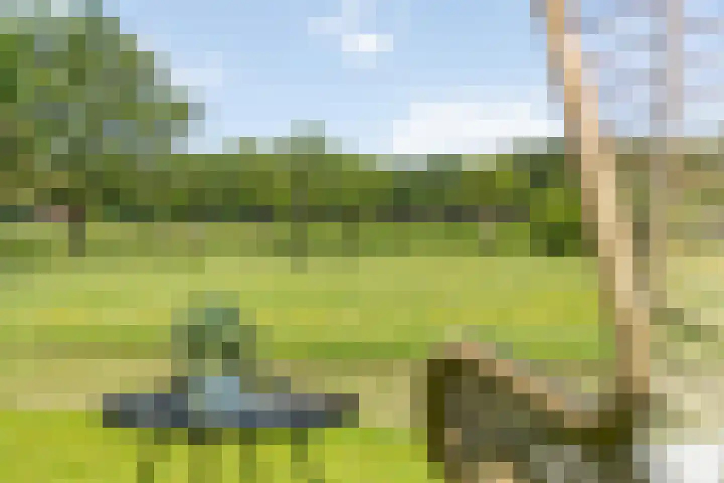 Laarhoeksweg 7 Broekland thumbnail 17