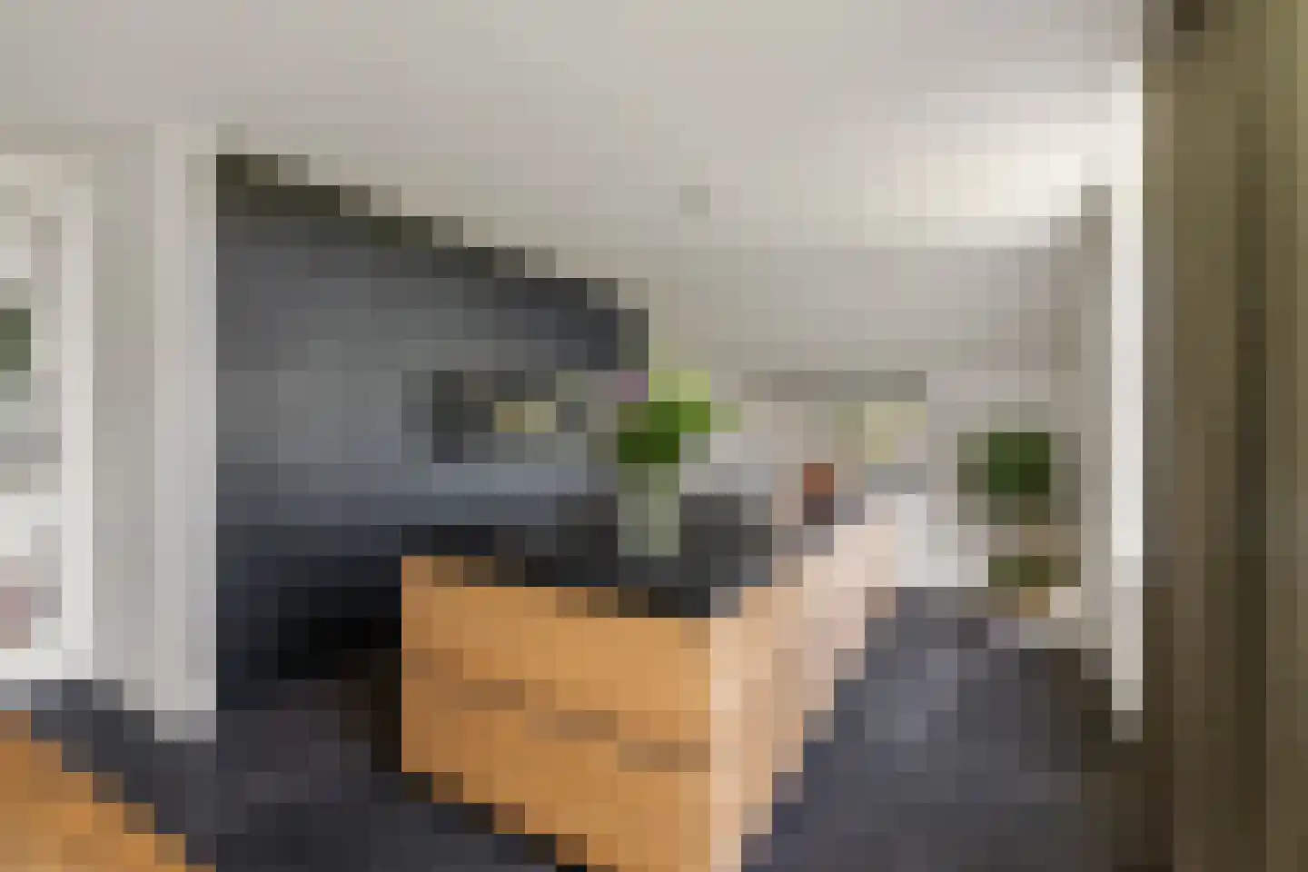 Laarhoeksweg 7 Broekland thumbnail 29