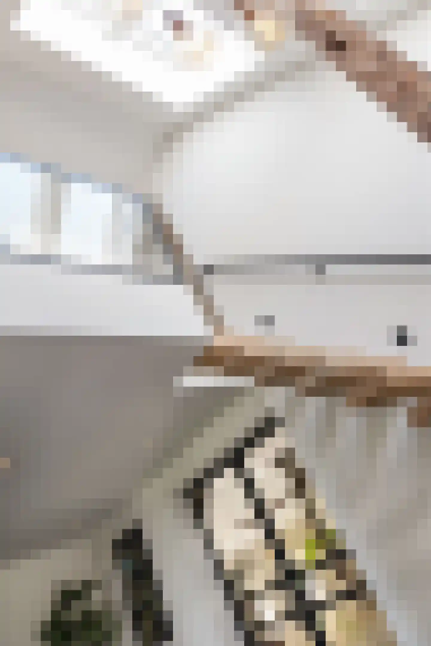 Laarhoeksweg 7 Broekland thumbnail 36