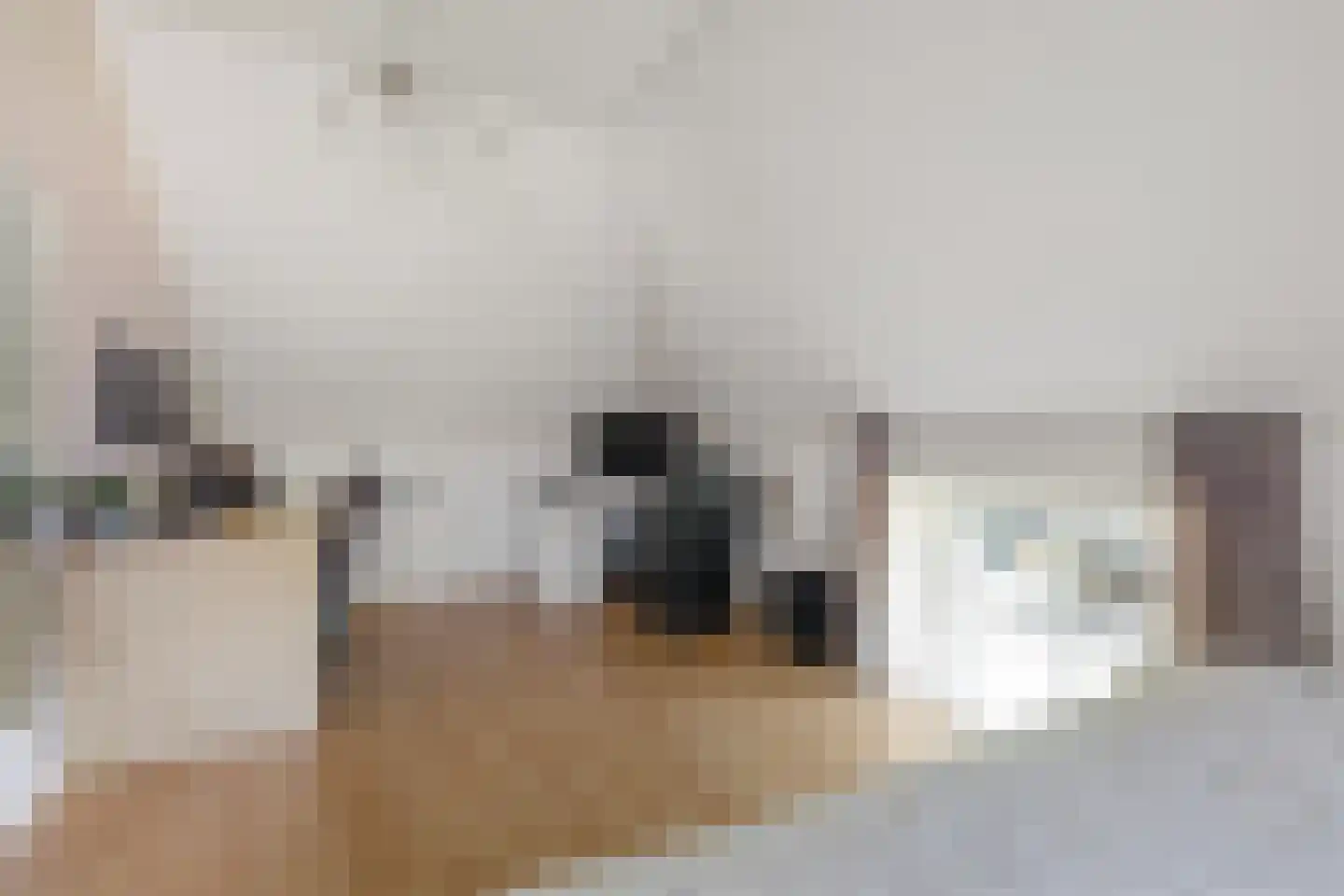 Laarhoeksweg 7 Broekland thumbnail 46