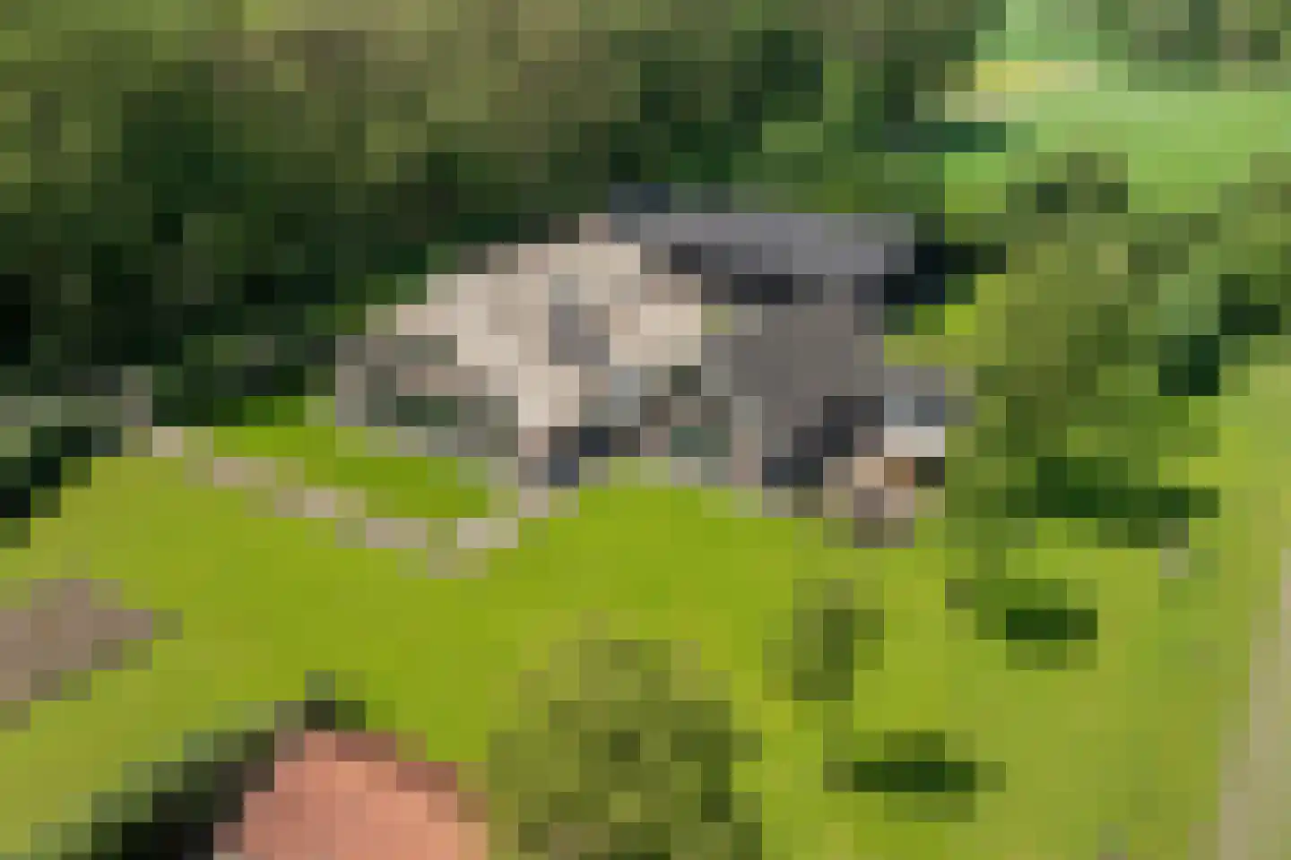 Laarhoeksweg 7 Broekland thumbnail 5