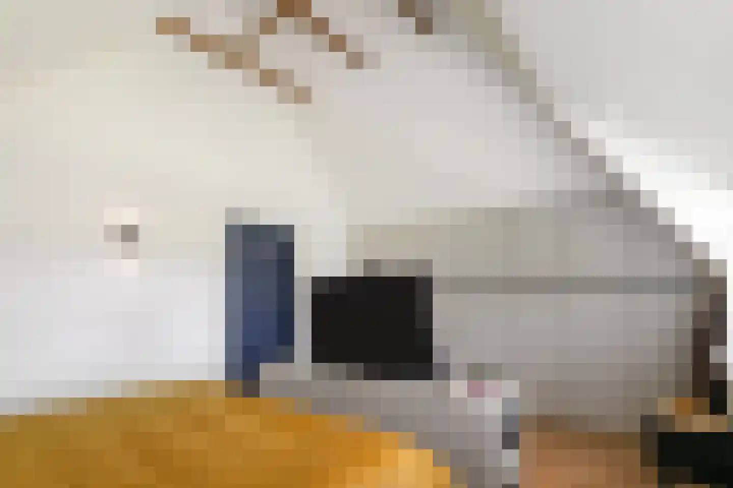 Laarhoeksweg 7 Broekland thumbnail 50