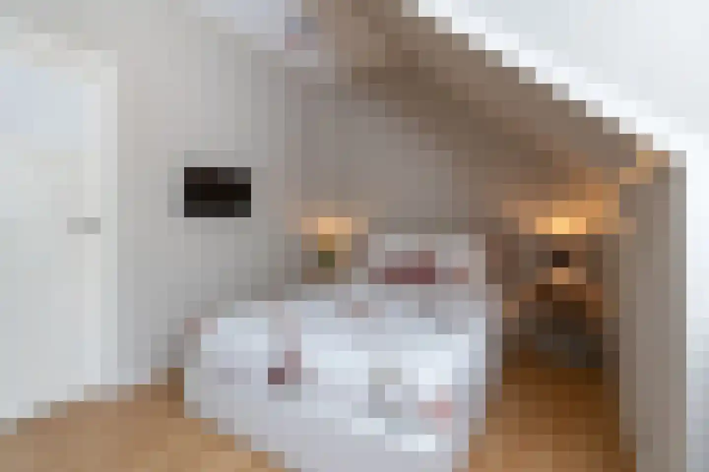 Laarhoeksweg 7 Broekland thumbnail 51