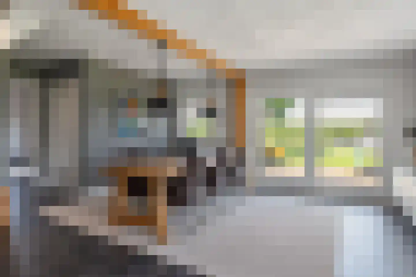 Laarhoeksweg 7 Broekland thumbnail 56