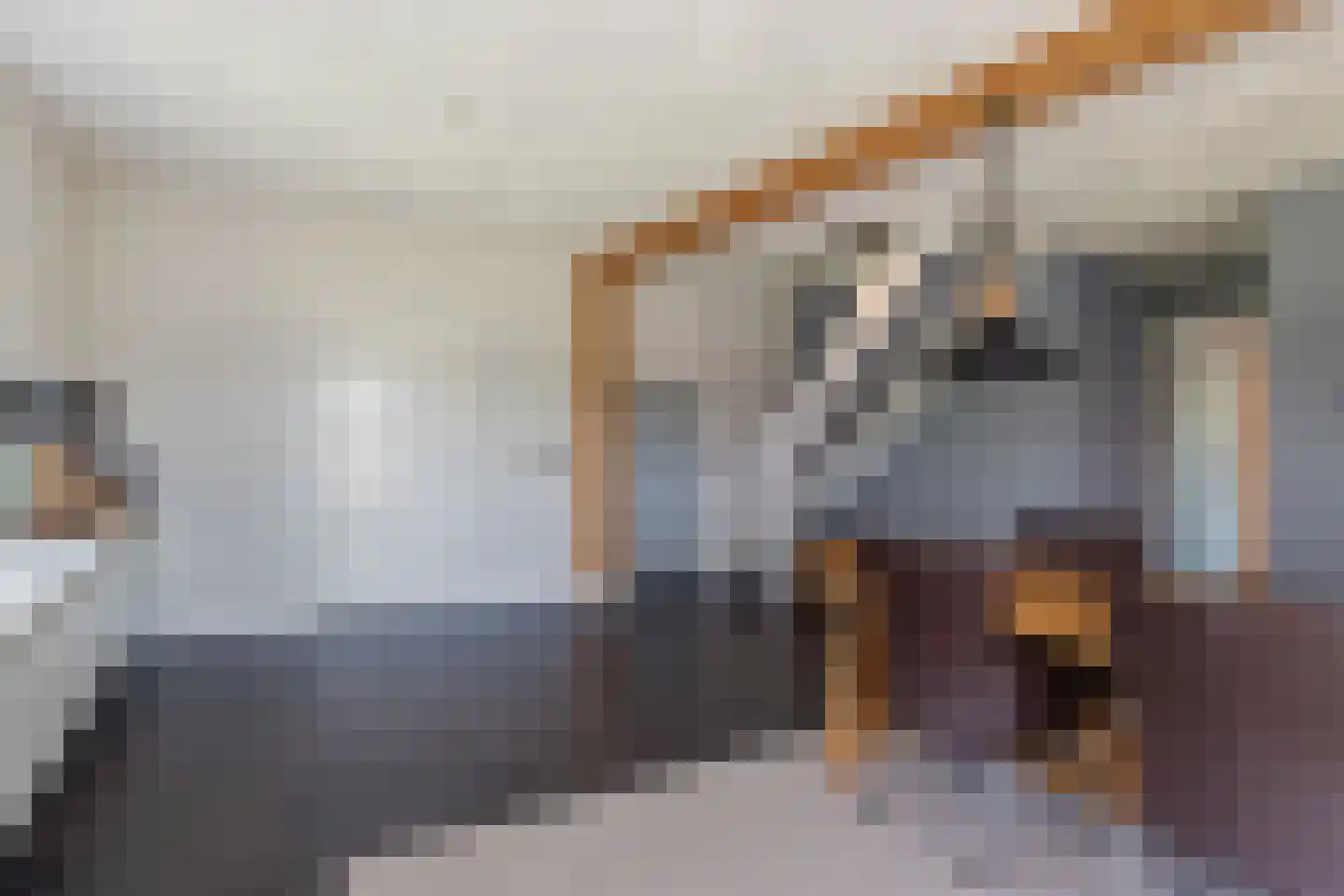 Laarhoeksweg 7 Broekland thumbnail 57