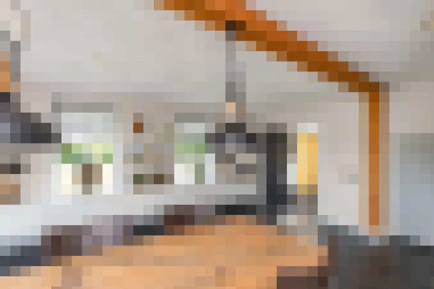 Laarhoeksweg 7 Broekland thumbnail 58