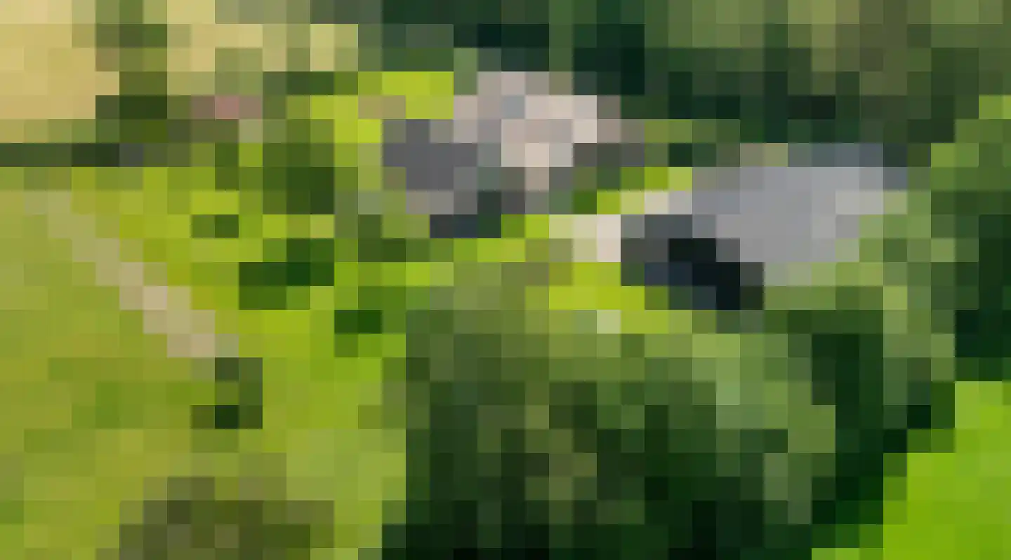 Laarhoeksweg 7 Broekland thumbnail 6