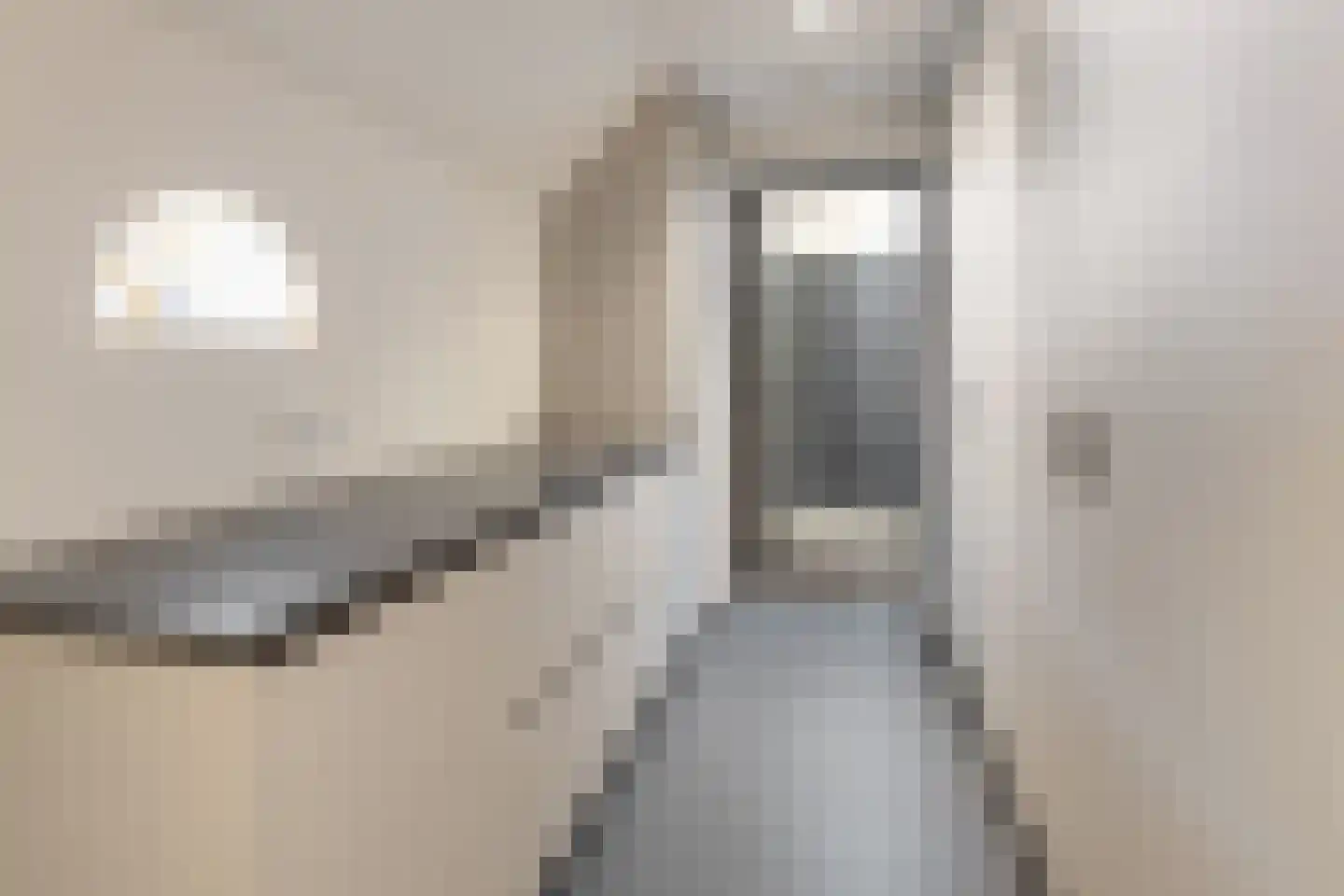 Laarhoeksweg 7 Broekland thumbnail 66