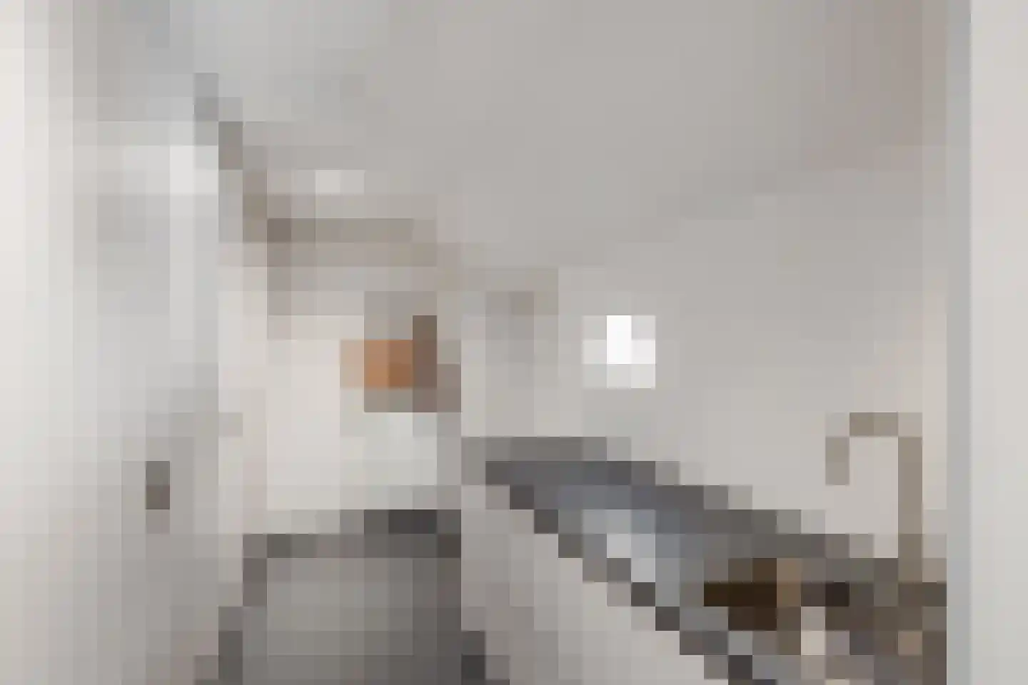 Laarhoeksweg 7 Broekland thumbnail 67