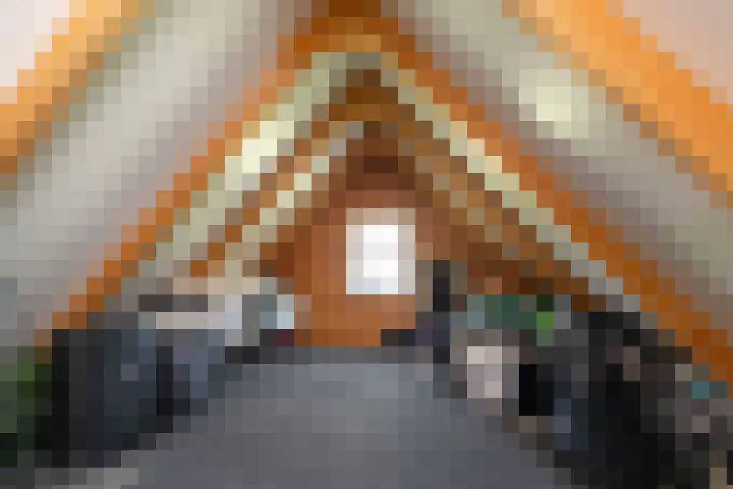 Laarhoeksweg 7 Broekland thumbnail 68