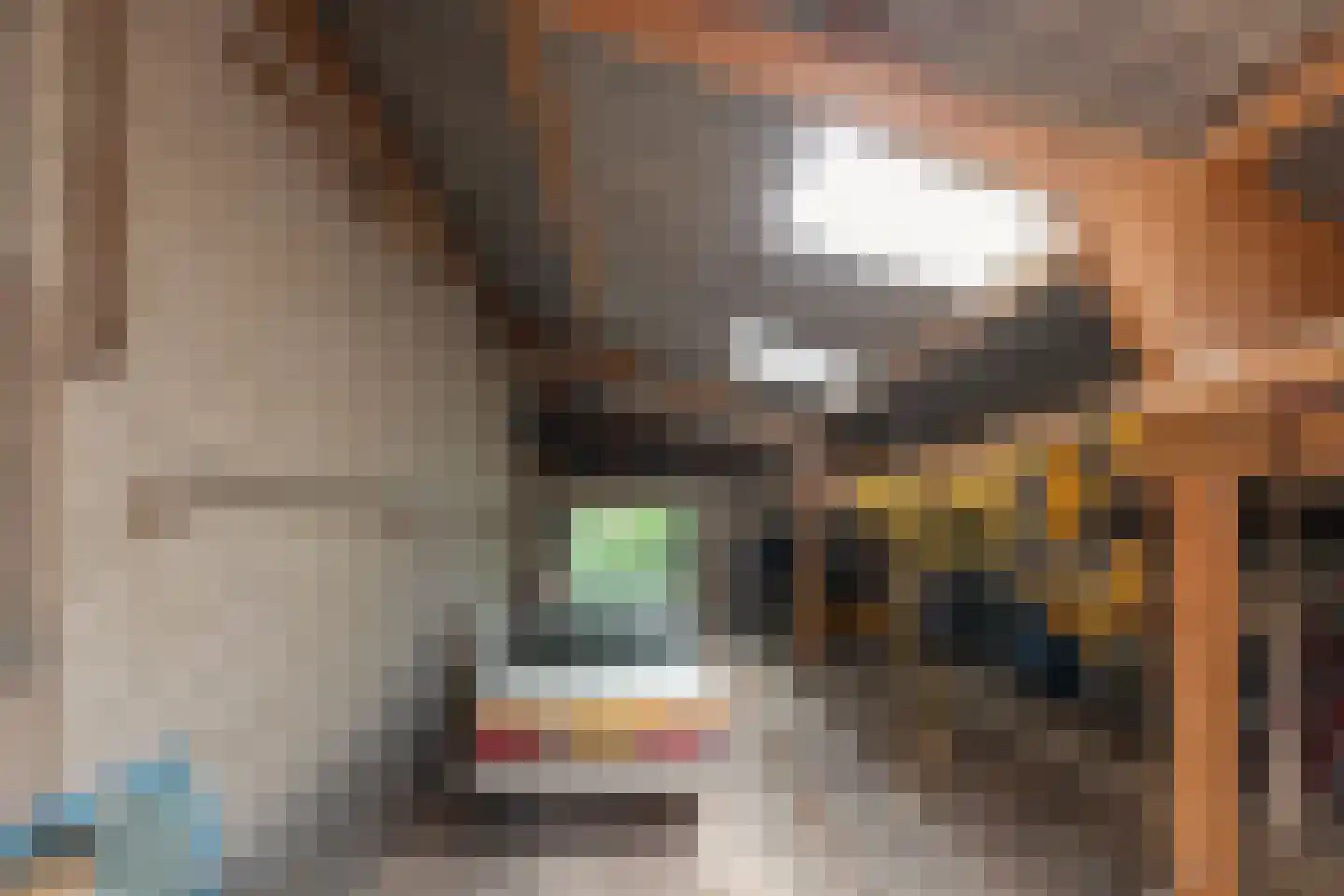 Laarhoeksweg 7 Broekland thumbnail 69