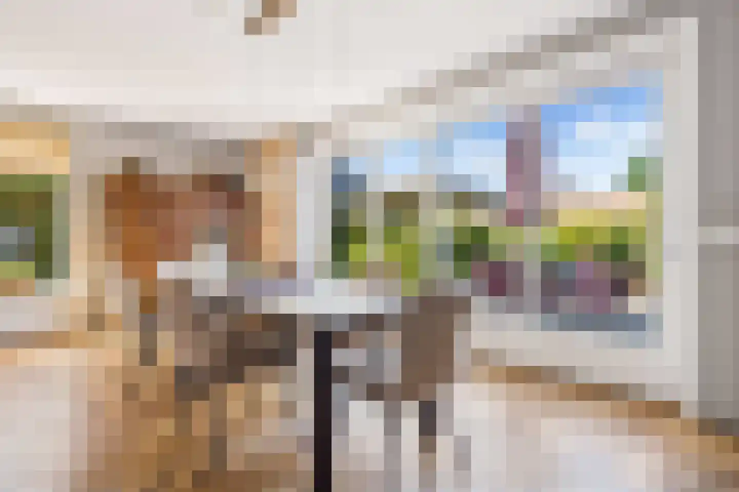 Laarhof 1 Nistelrode thumbnail 14