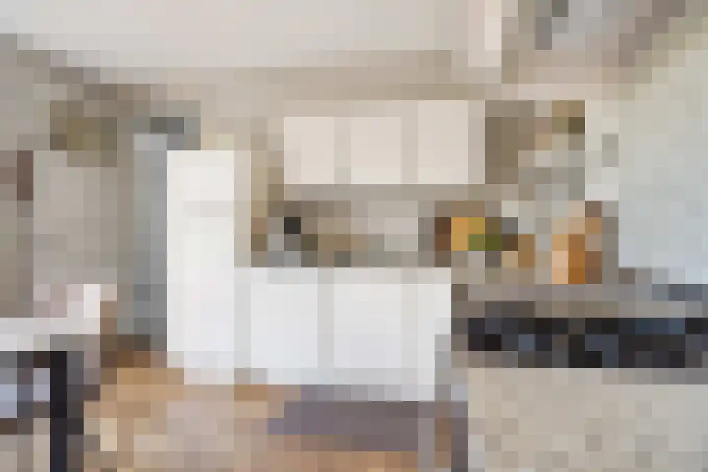 Laarhof 1 Nistelrode thumbnail 15