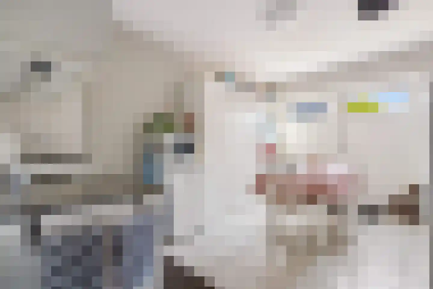 Laarhof 1 Nistelrode thumbnail 17