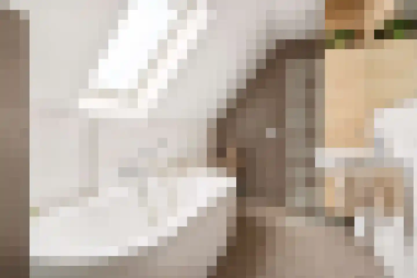 Laarhof 1 Nistelrode thumbnail 26