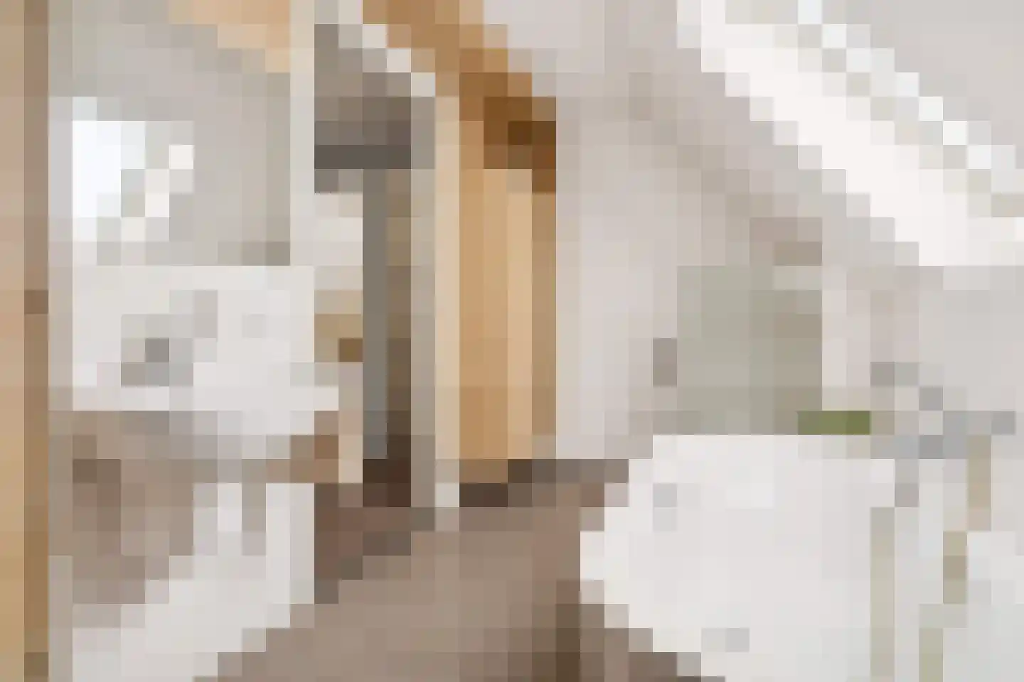 Laarhof 1 Nistelrode thumbnail 27