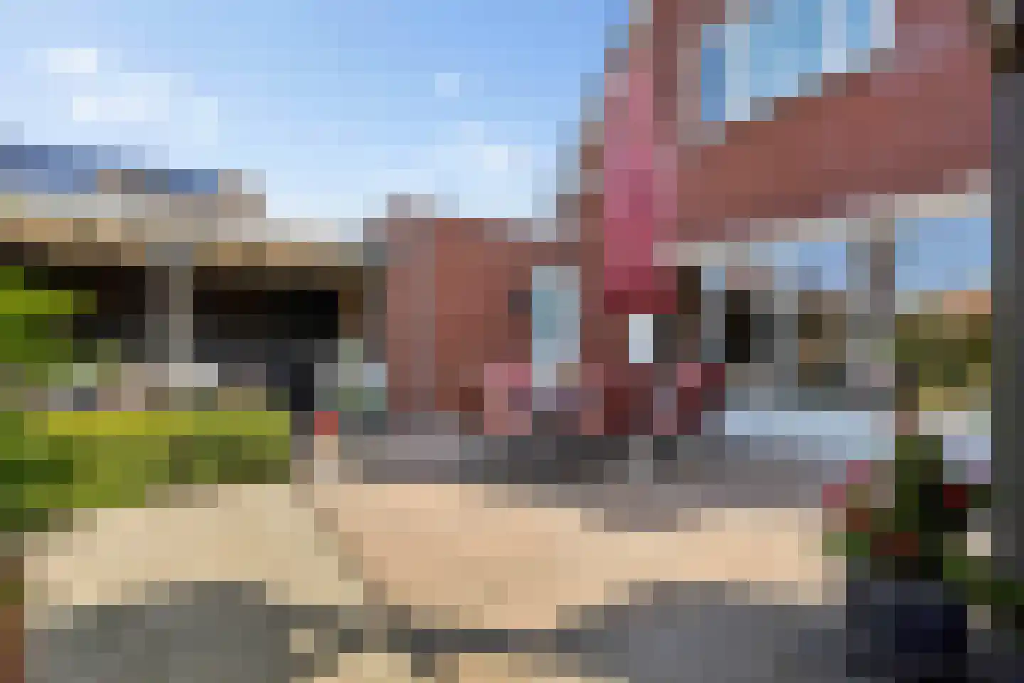Laarhof 1 Nistelrode thumbnail 32