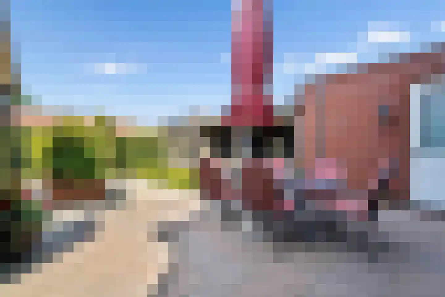 Laarhof 1 Nistelrode thumbnail 35