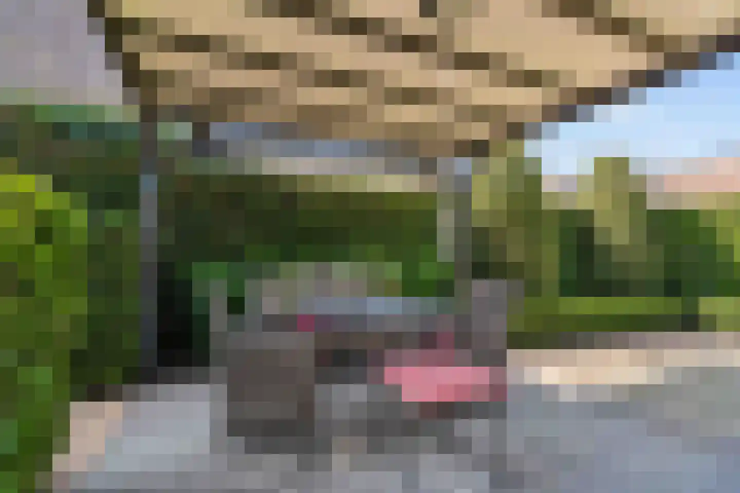 Laarhof 1 Nistelrode thumbnail 38