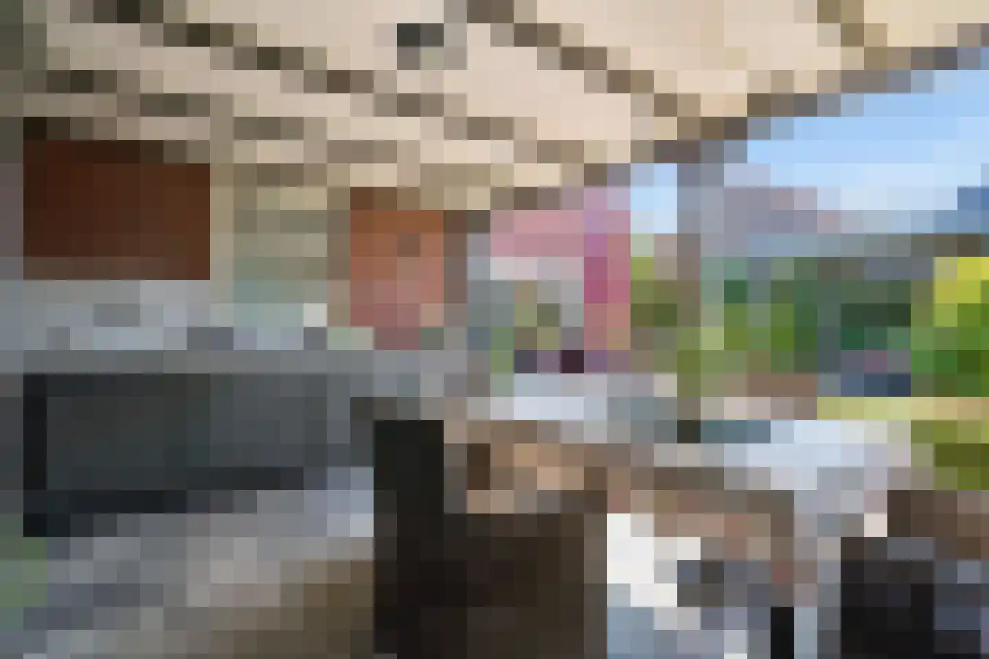 Laarhof 1 Nistelrode thumbnail 40