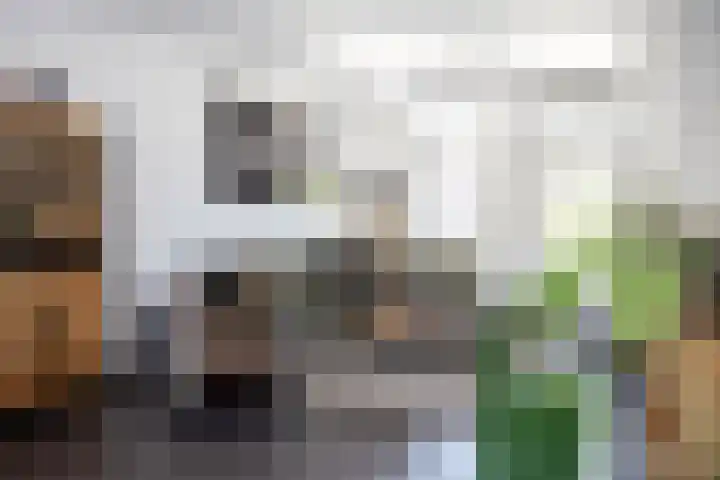 Laarhof 20 Nistelrode thumbnail 12