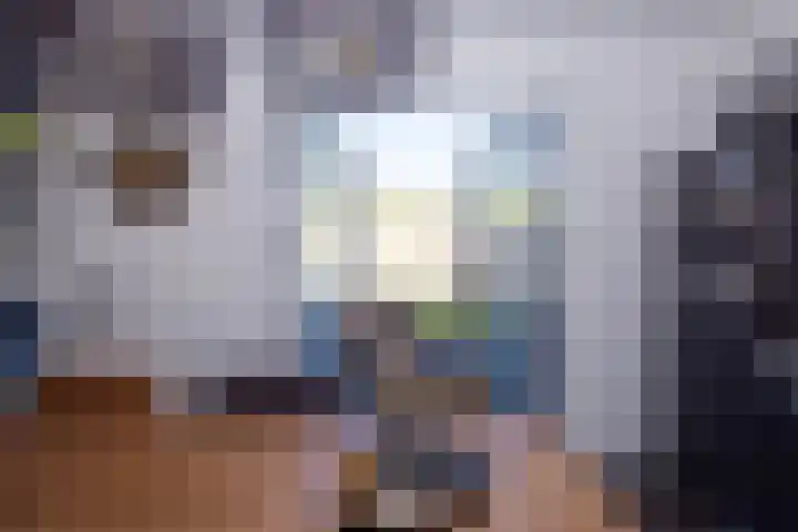 Laarhof 20 Nistelrode thumbnail 17