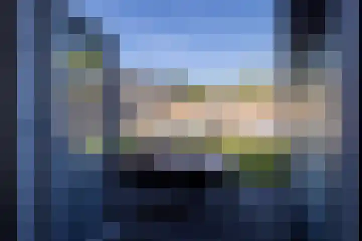 Laarhof 20 Nistelrode thumbnail 18