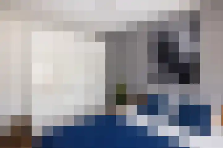 Laarhof 20 Nistelrode thumbnail 22