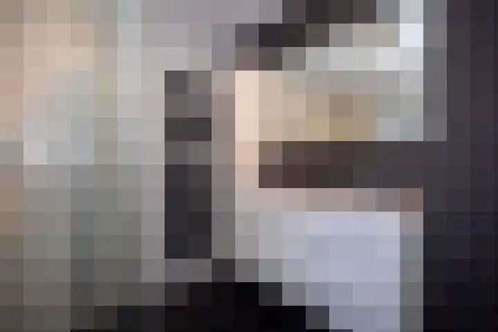 Laarhof 20 Nistelrode thumbnail 26