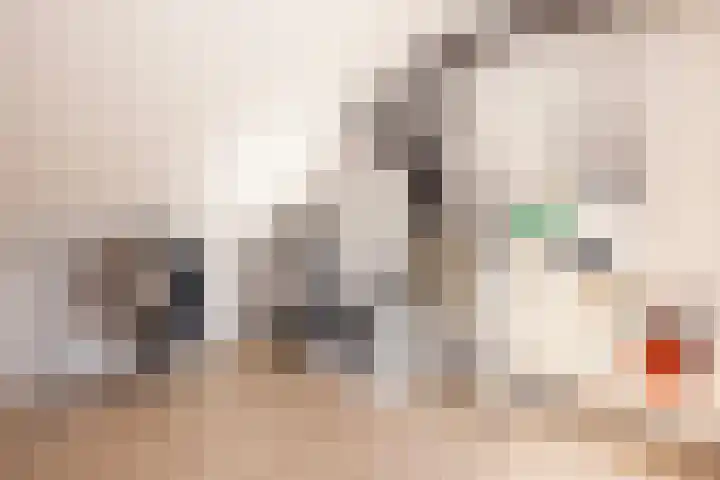Laarhof 20 Nistelrode thumbnail 30