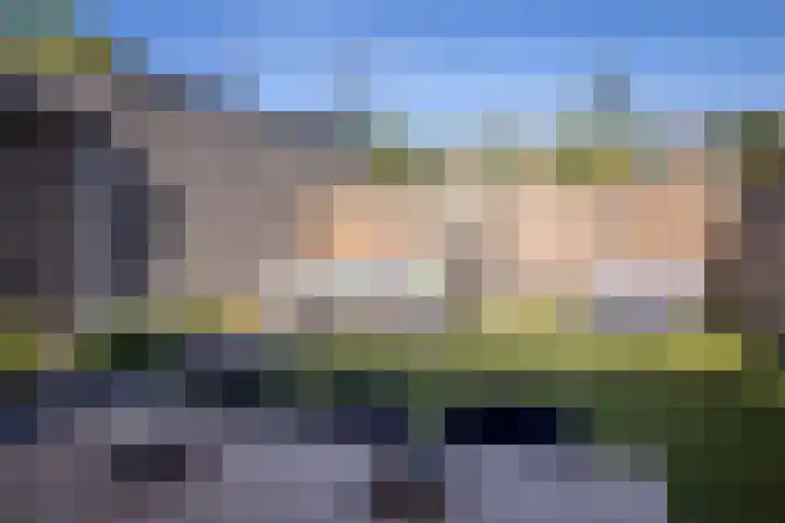 Laarhof 20 Nistelrode thumbnail 32