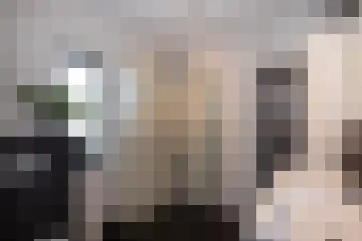 Laarhof 20 Nistelrode thumbnail 4