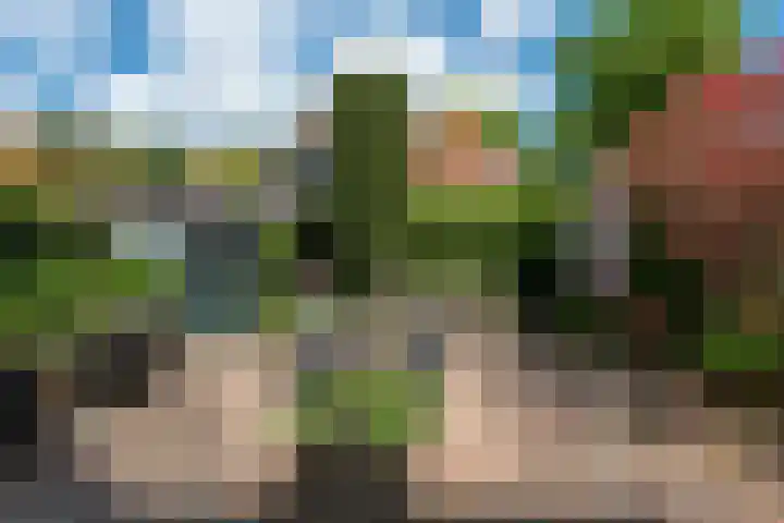 Laarmanstraat 19 Heiloo thumbnail 35