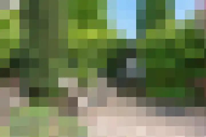 Laarmanstraat 19 Heiloo thumbnail 38