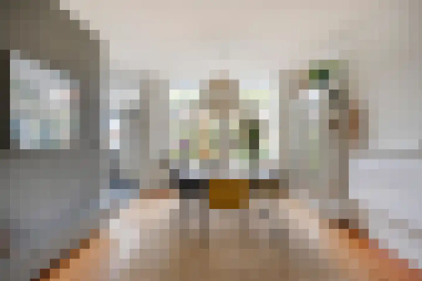 Laarmanstraat 2 Heiloo thumbnail 10