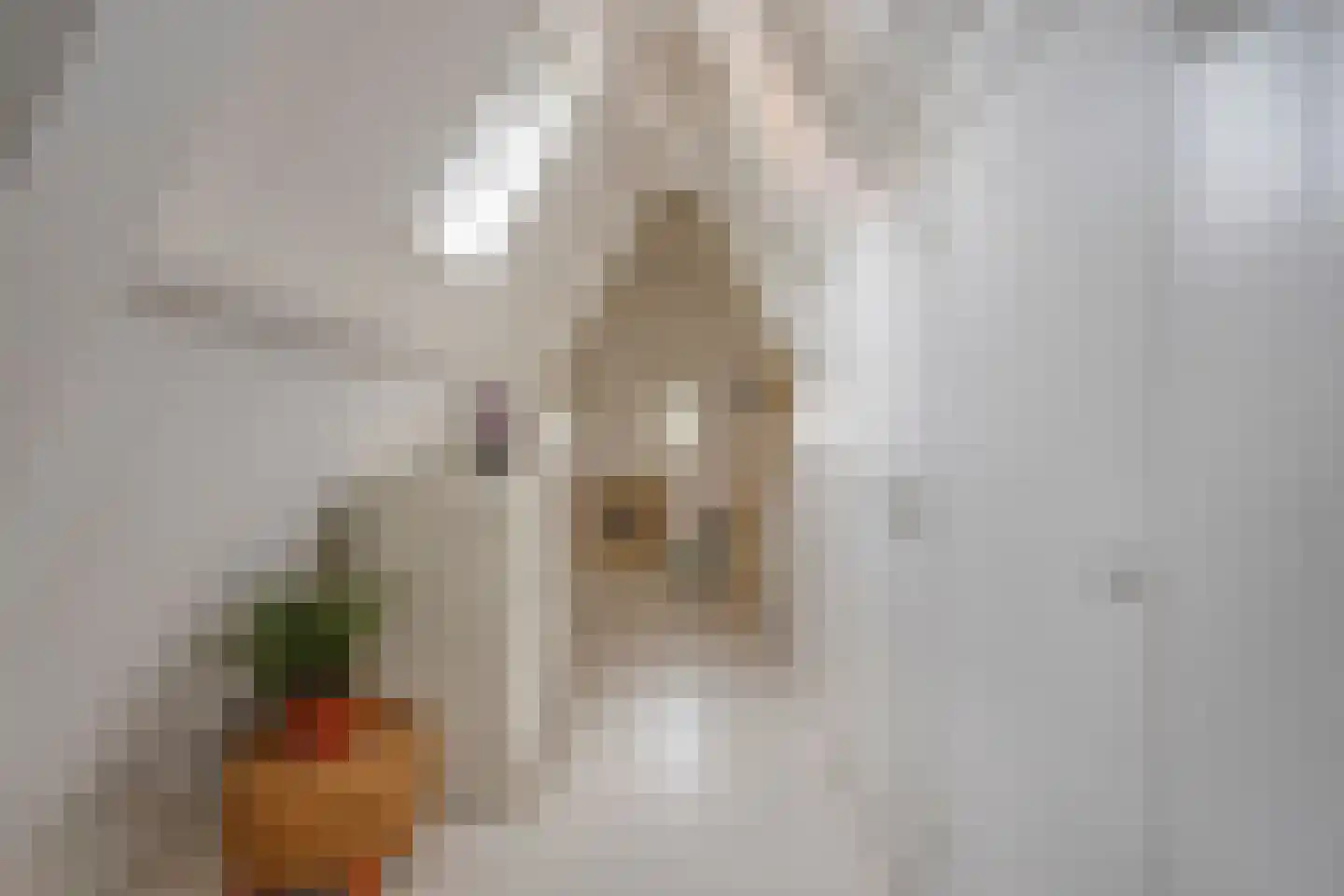 Laarmanstraat 2 Heiloo thumbnail 29