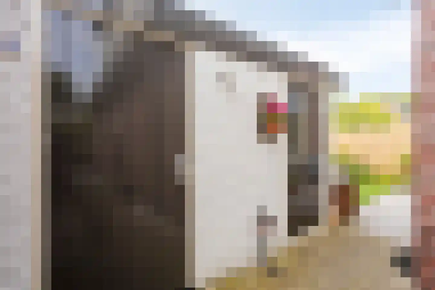 Laarmanstraat 2 Heiloo thumbnail 32